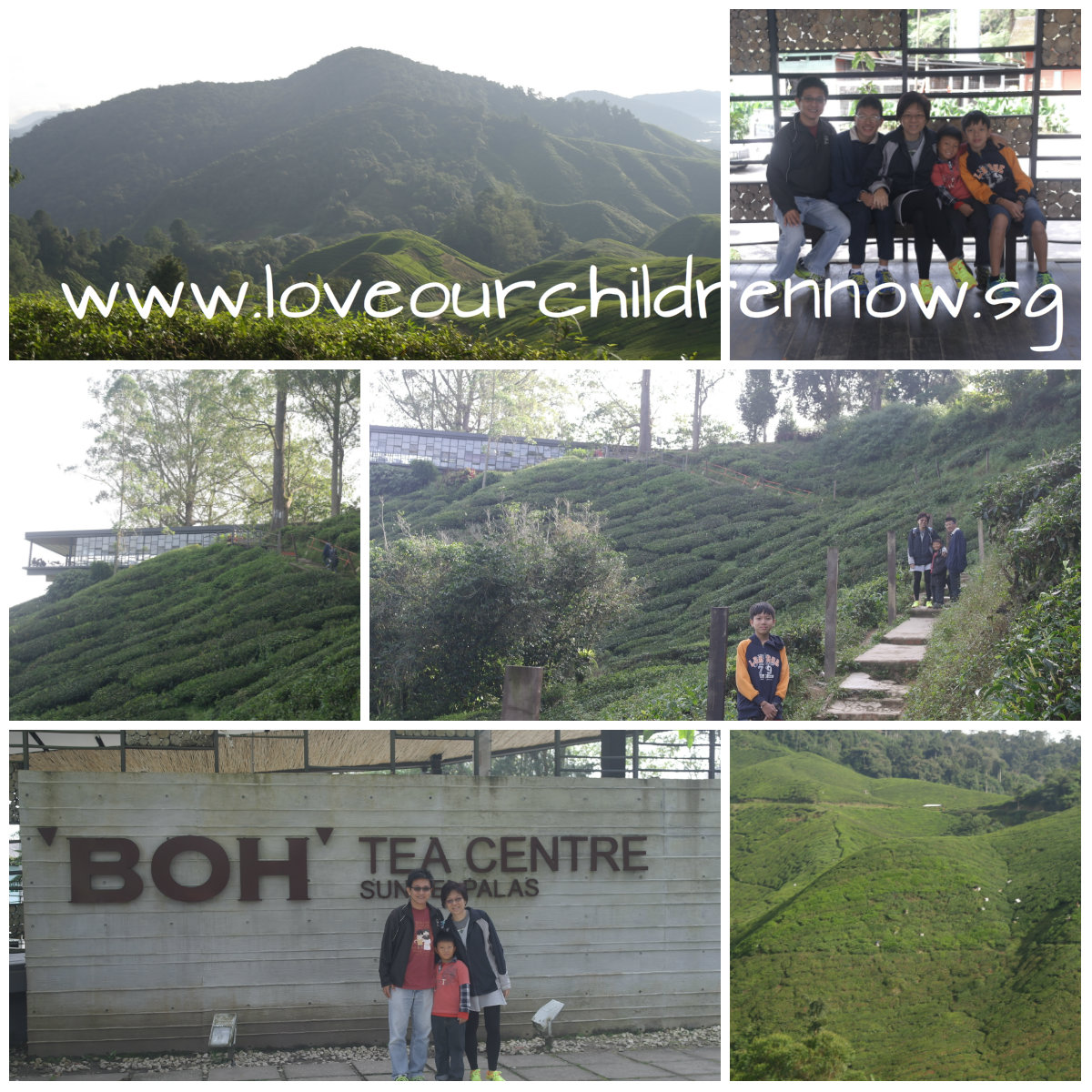 cameon-boh-tea-brinchang-views-people